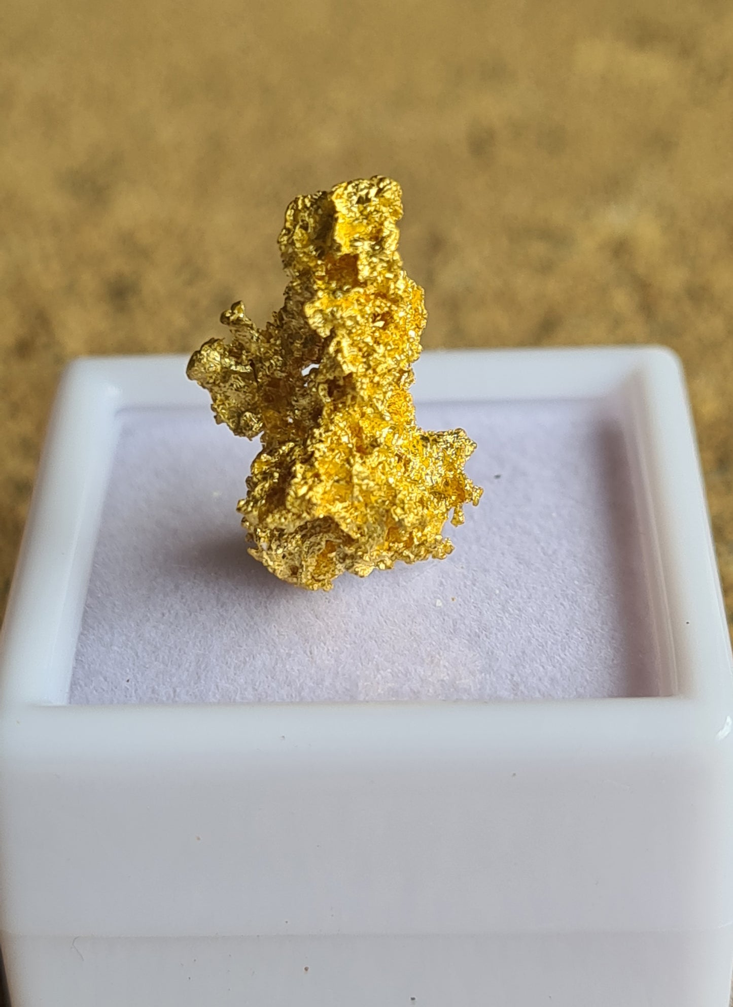 Gold Nugget 2.4 Grams