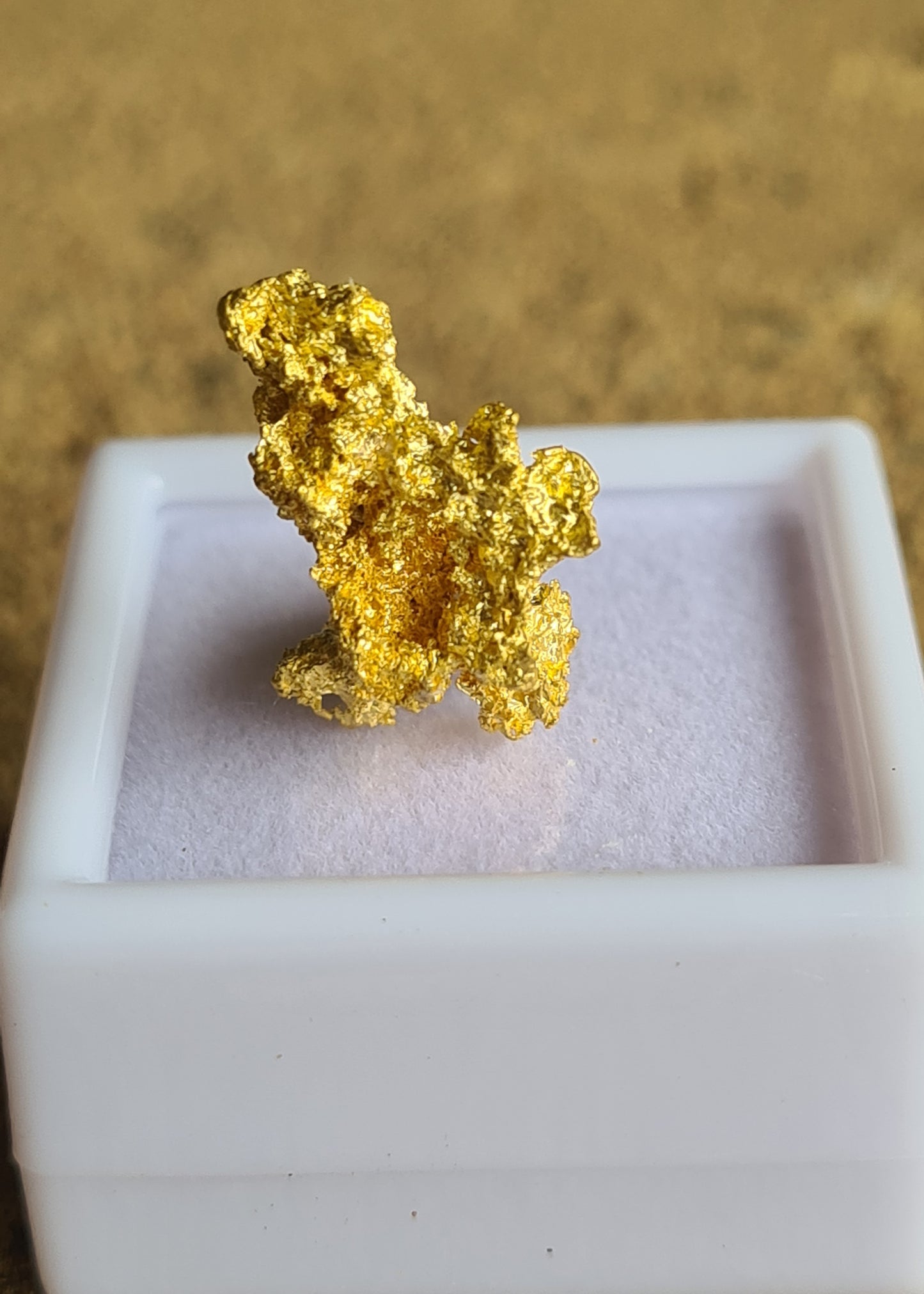 Gold Nugget 2.4 Grams