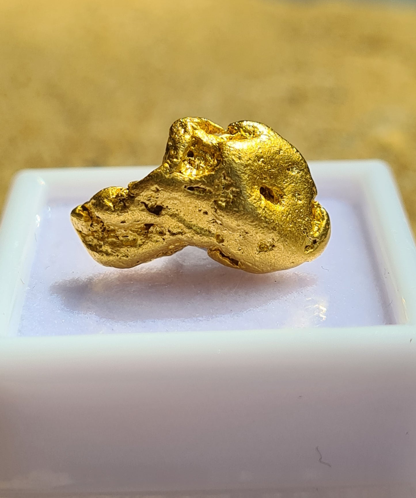Gold Nugget 5.79 grams