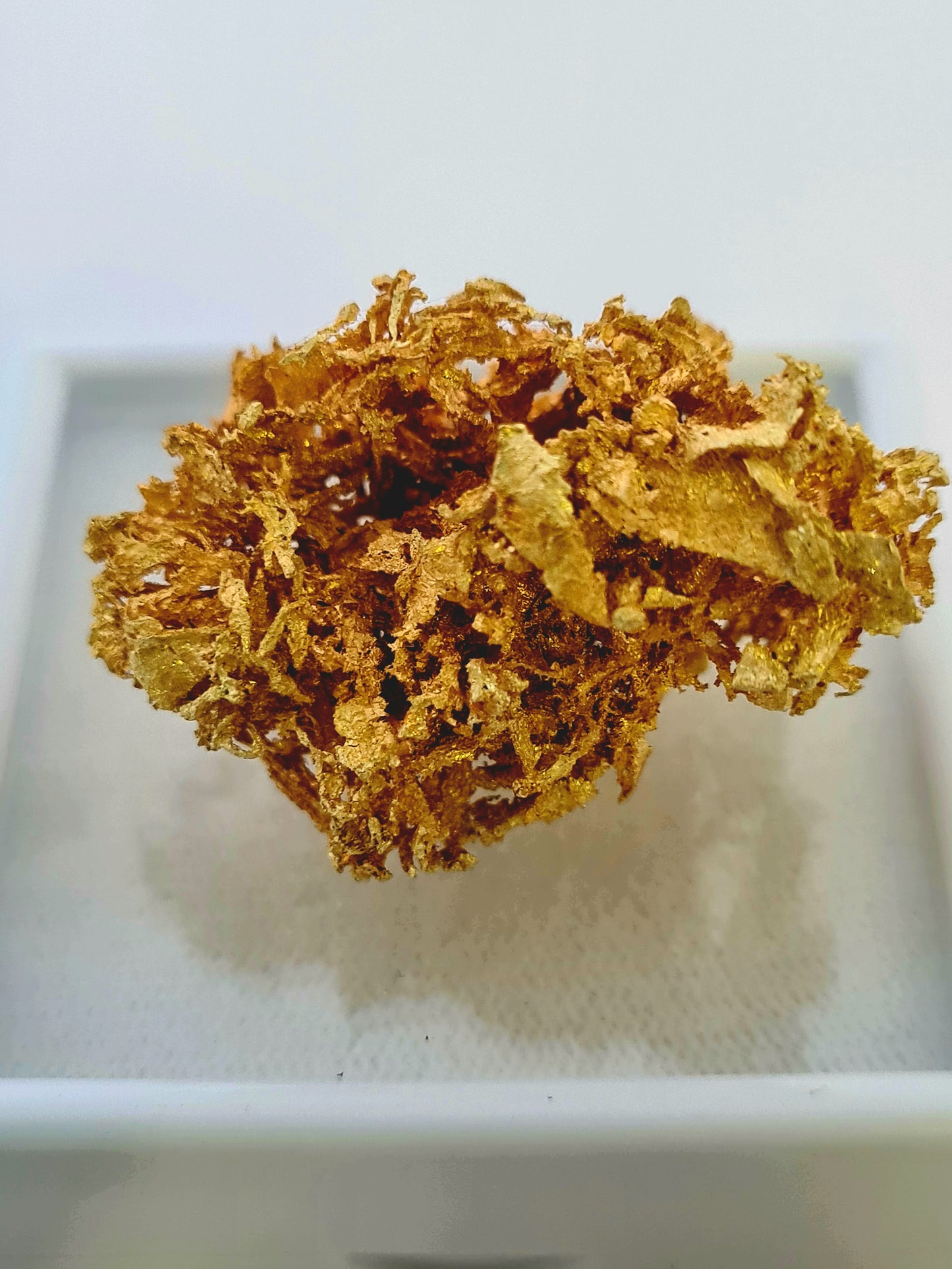 Gold Nugget 12.3 grams
