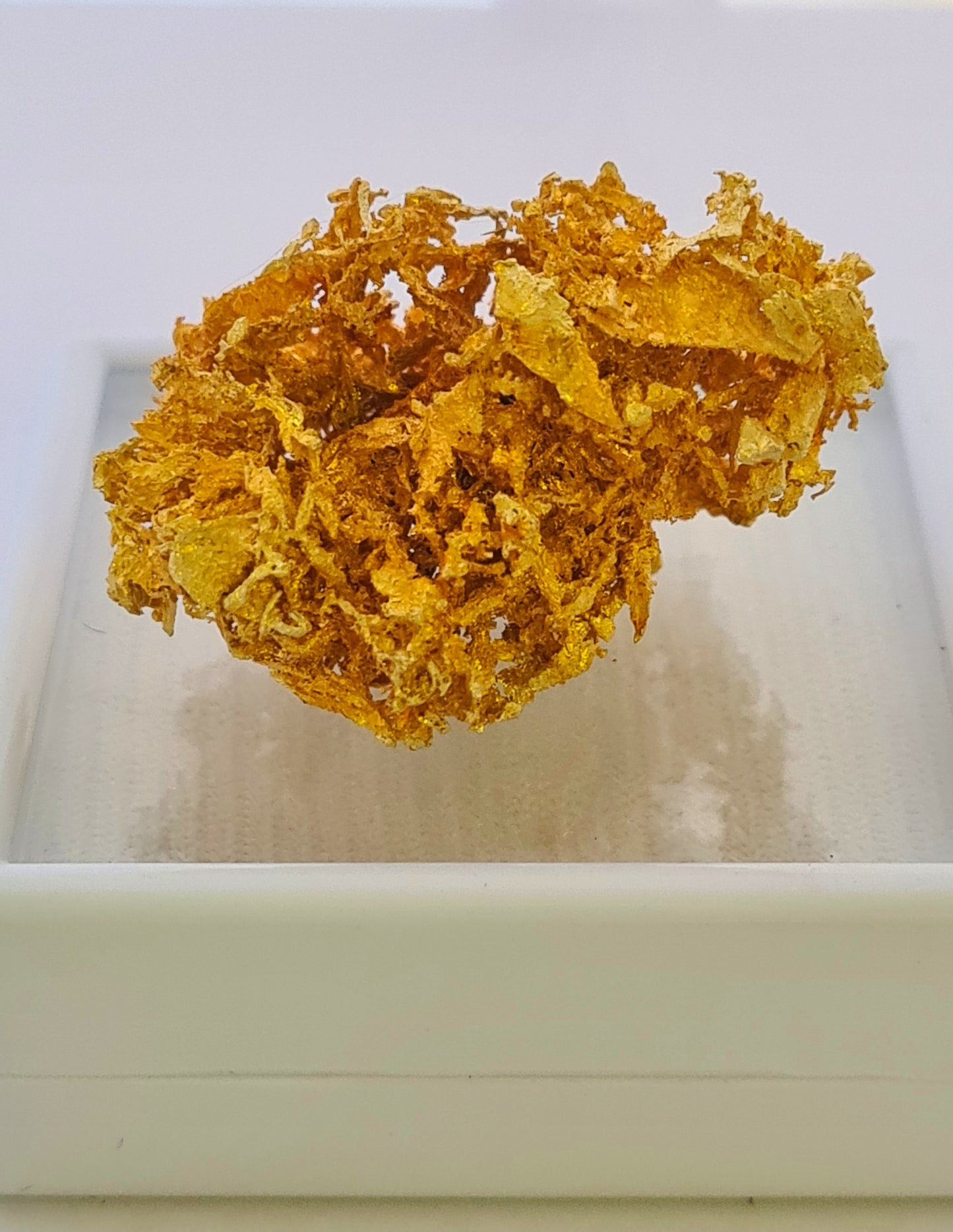 Gold Nugget 12.3 grams