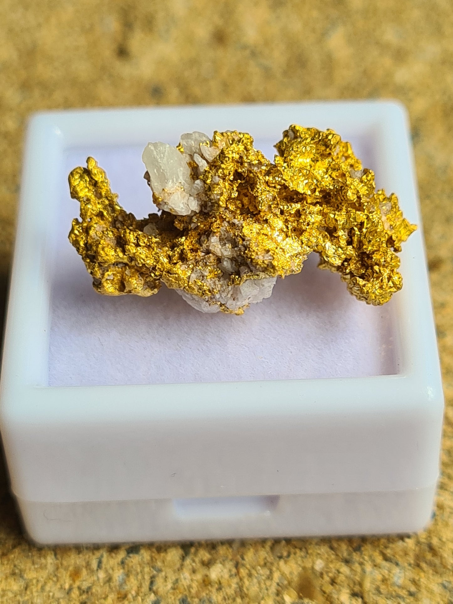 Gold Specimen 8.3 grams