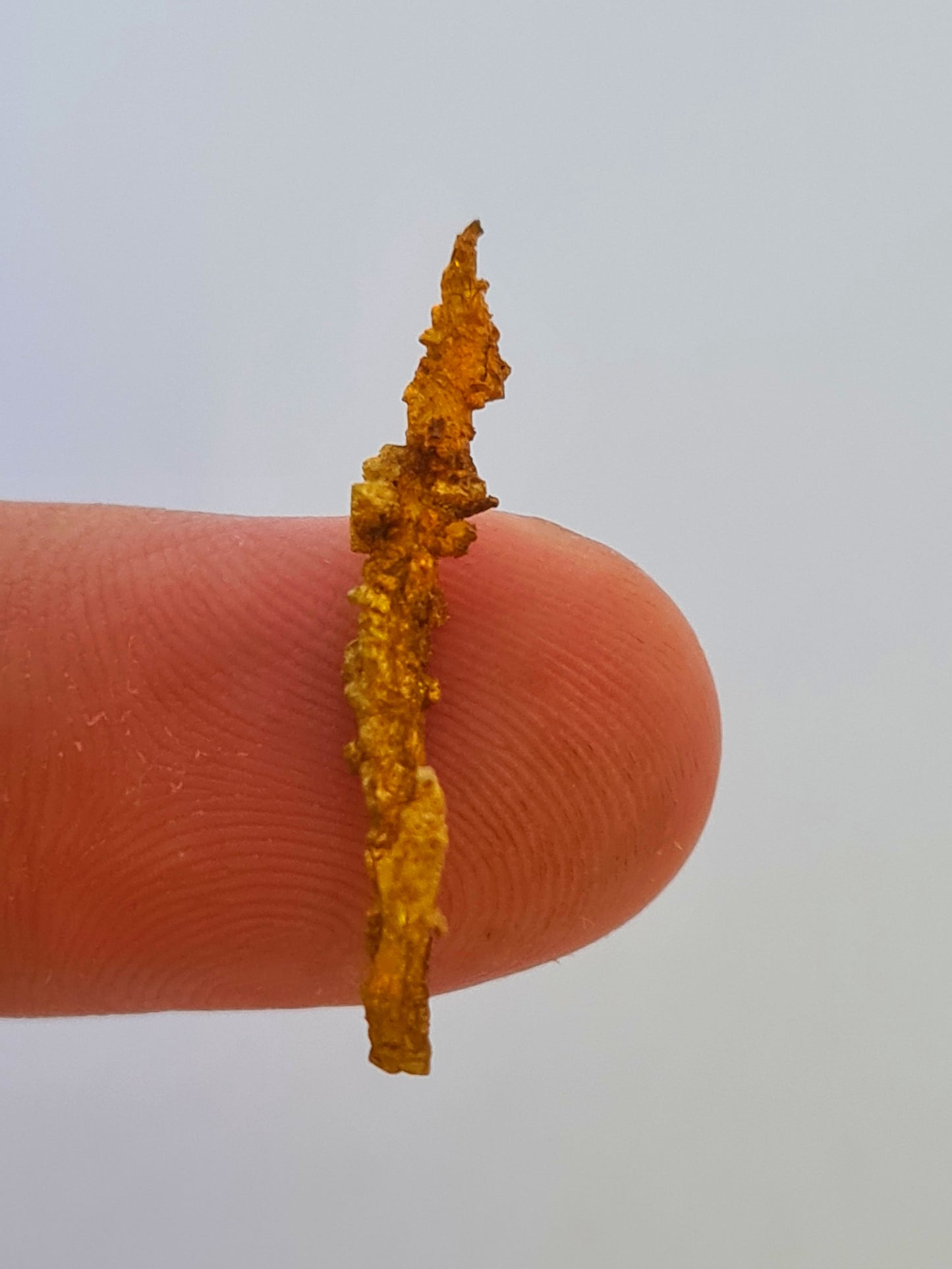 Gold Nugget 1 gram