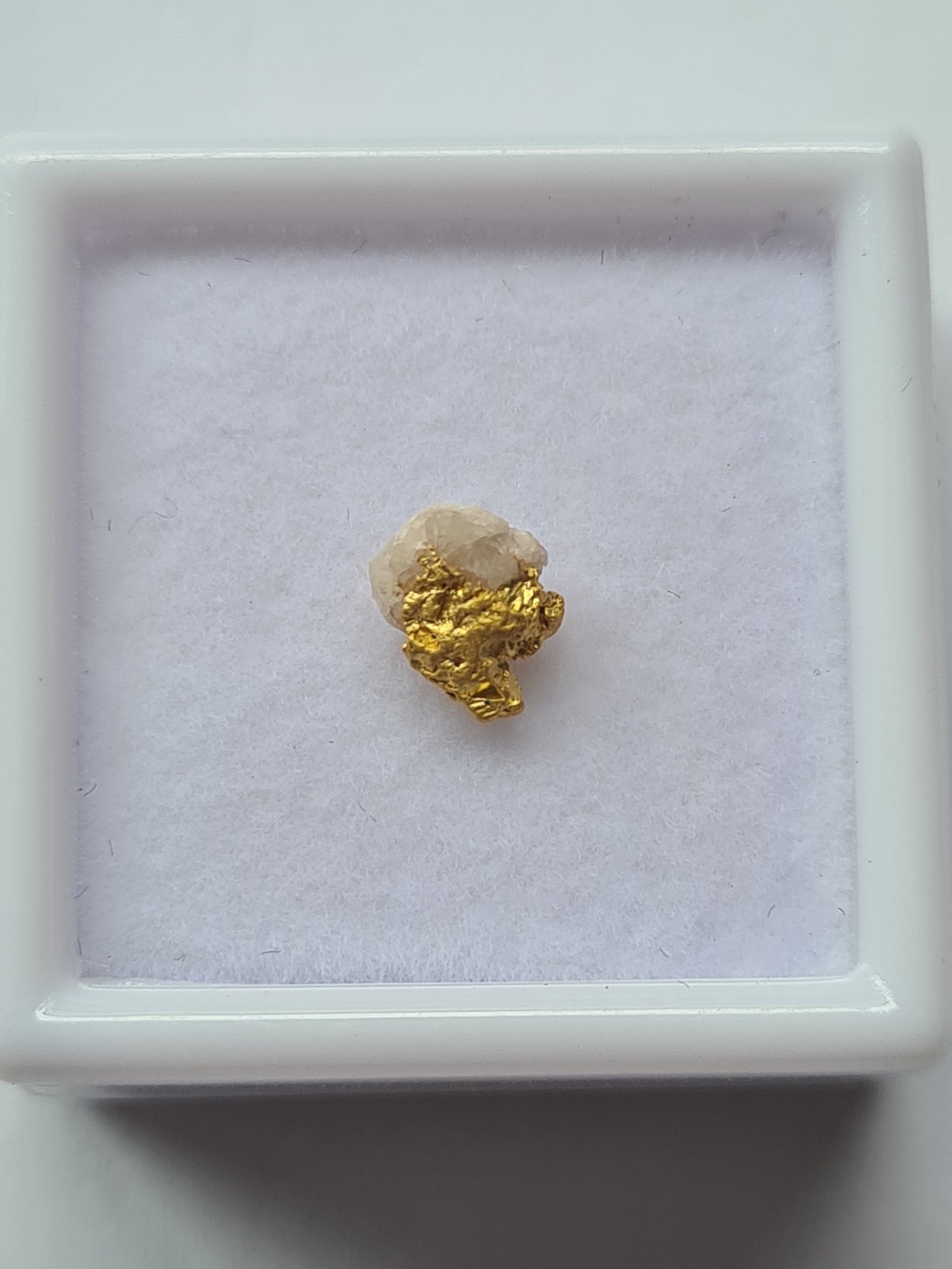 Gold Specimen 0.23 grams