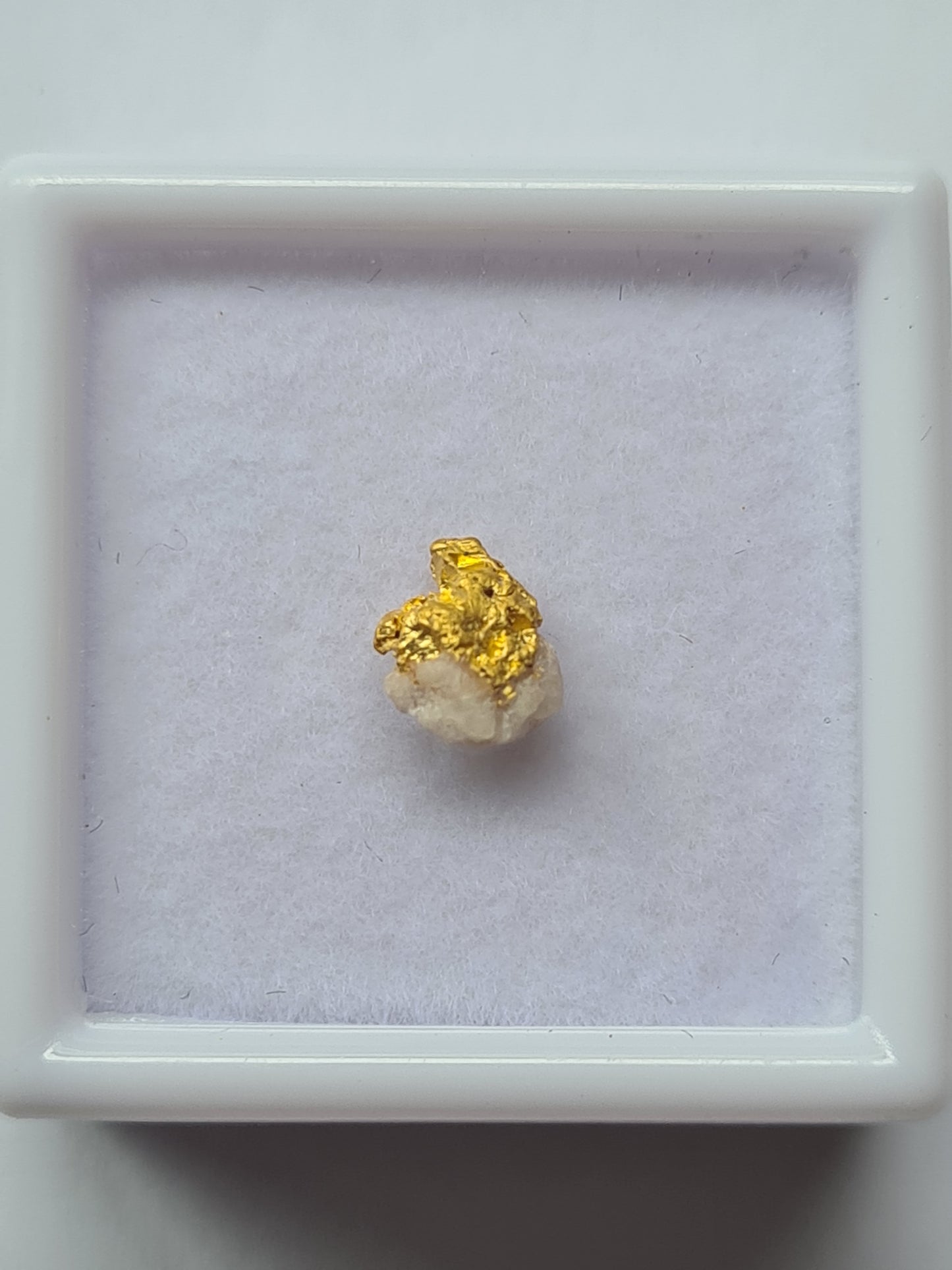 Gold Specimen 0.23 grams