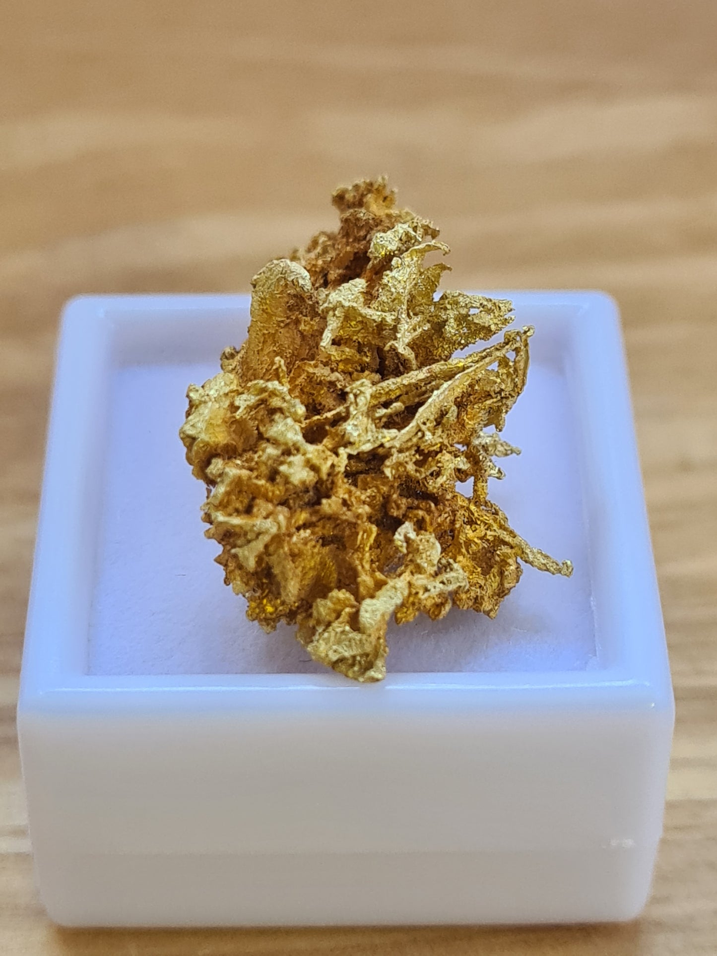 Gold Nugget 5.52 grams
