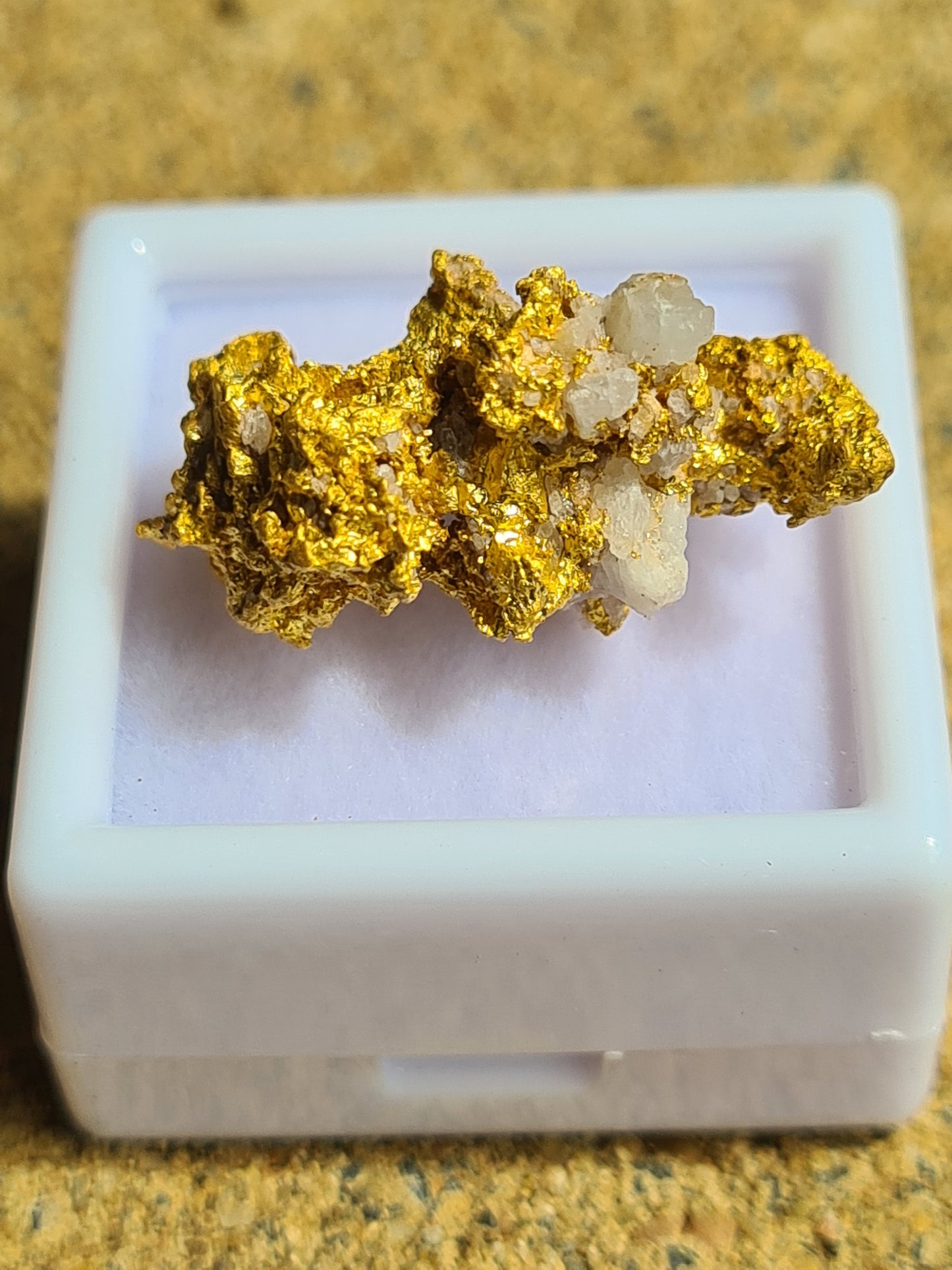 Gold Specimen 8.3 grams