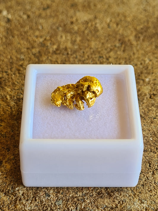 Gold Nugget 2.42 grams