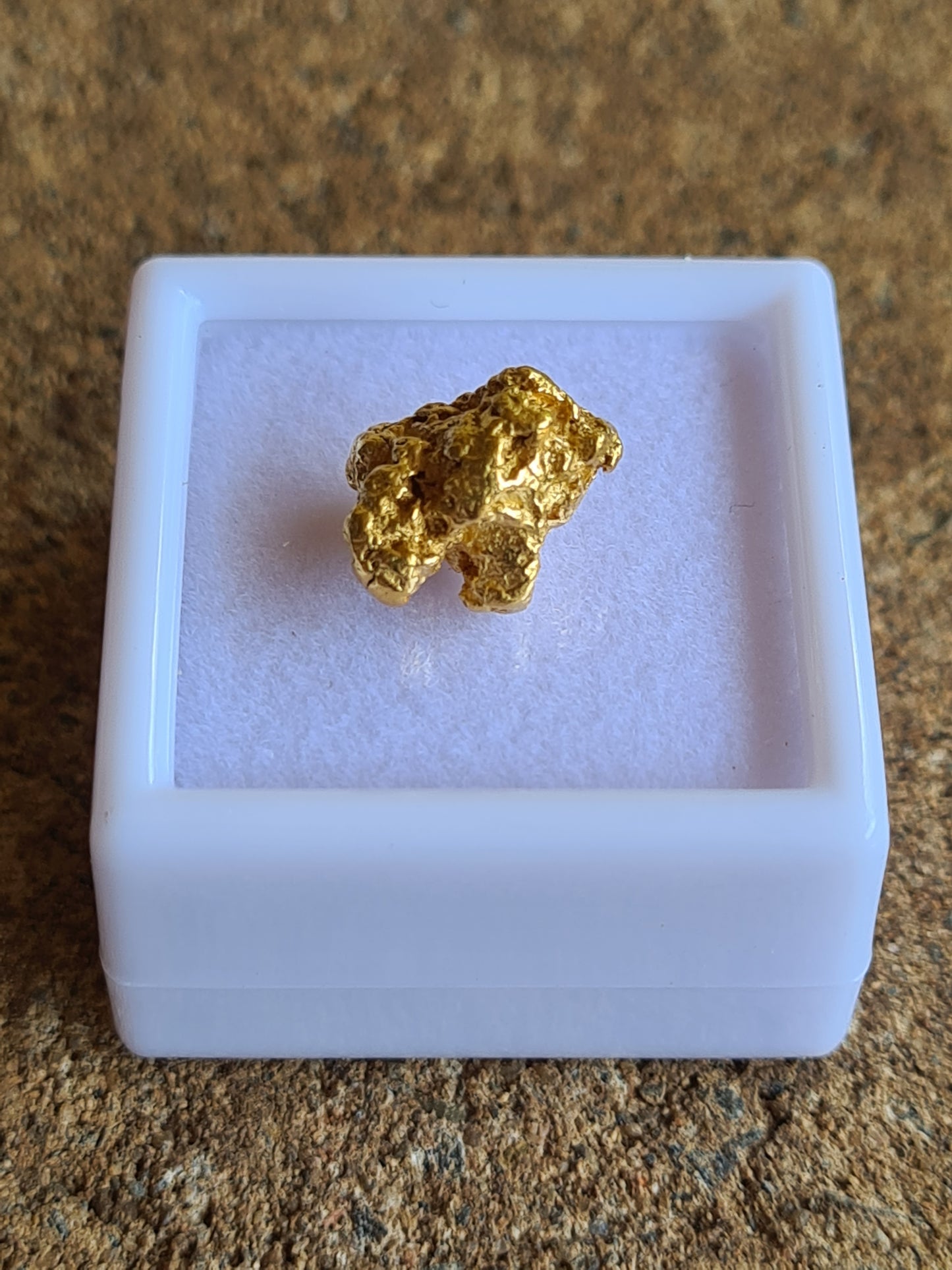 Gold Nugget 3.1 grams