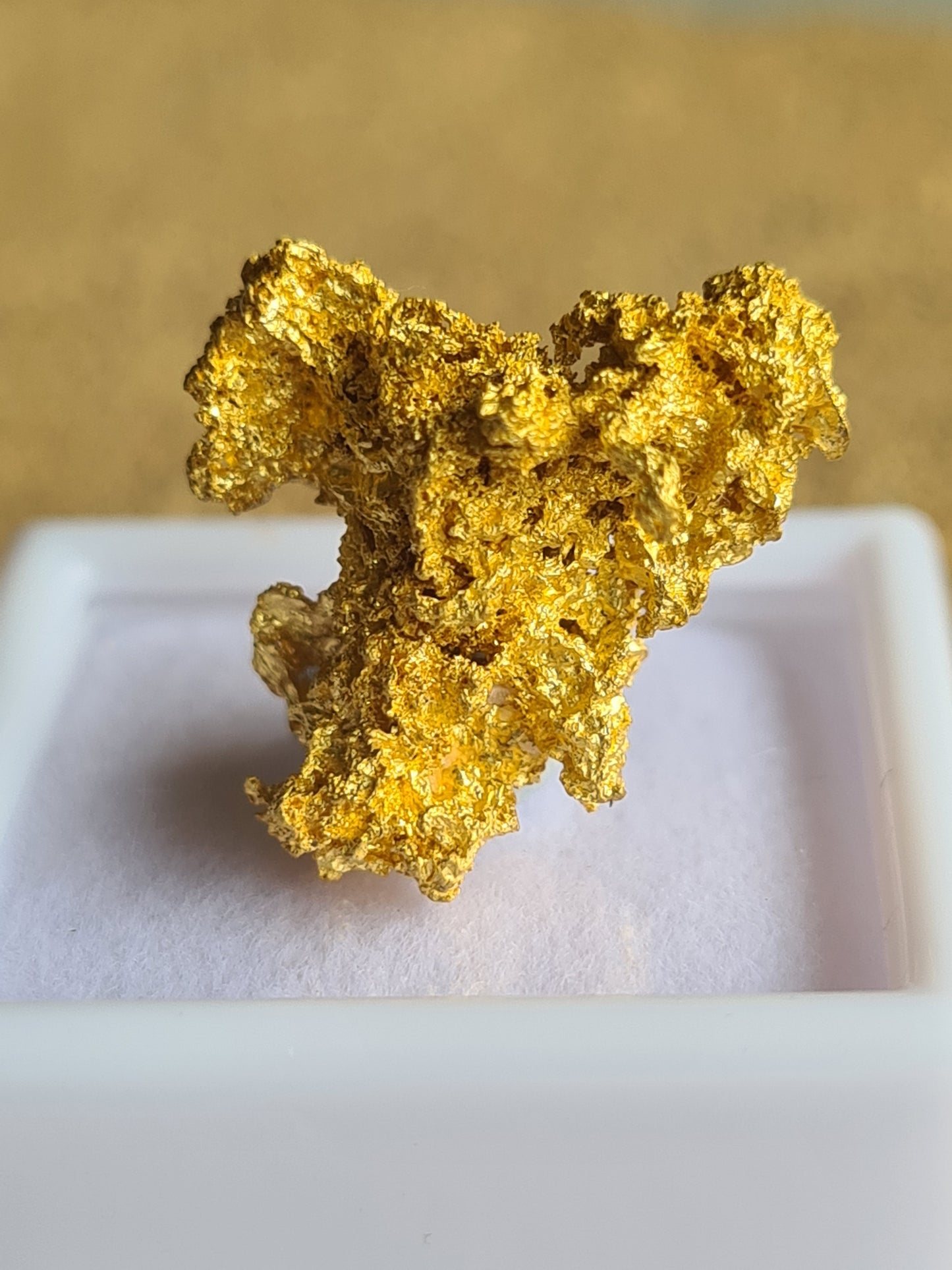 Gold Nugget 4 grams
