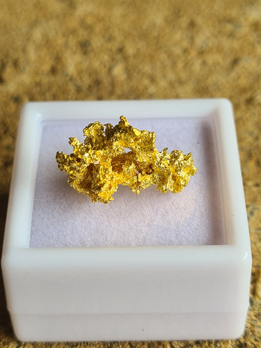 Gold Nugget 2.4 Grams