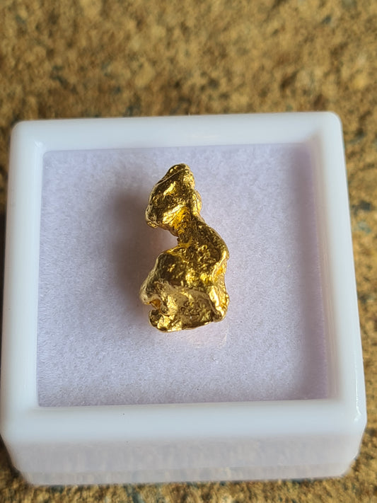 Gold Nugget 2.6 grams