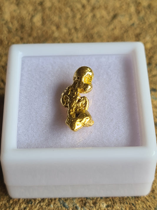 Gold Nugget 1.55 grams