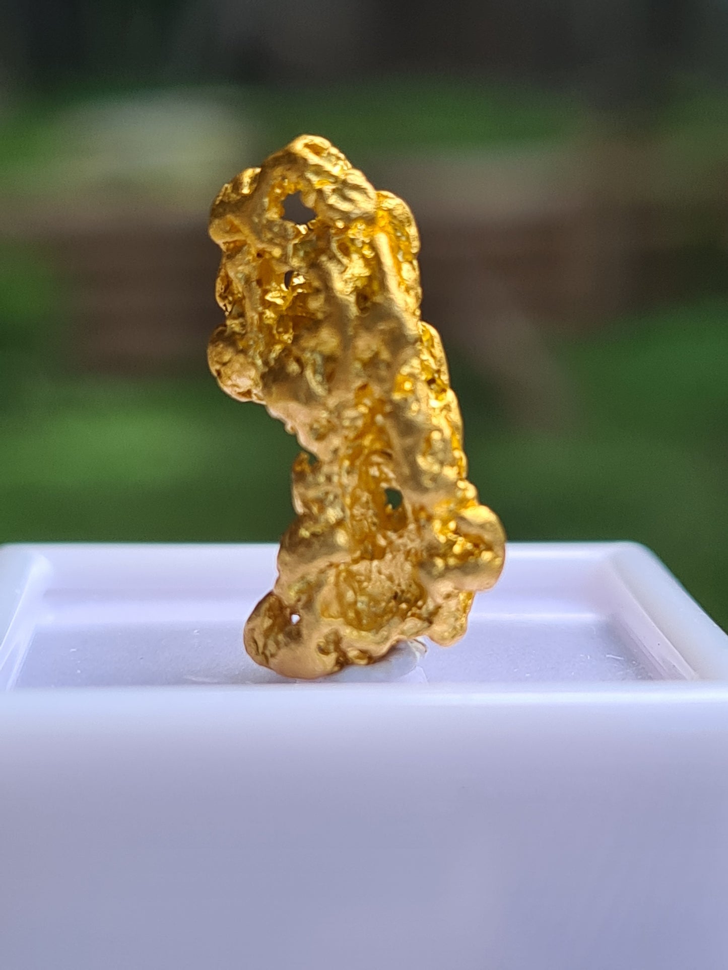 Gold Nugget 3.7 grams