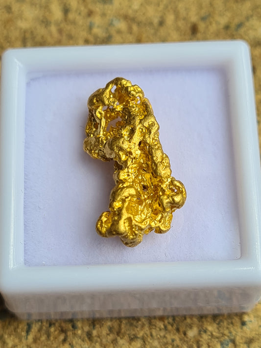 Gold Nugget 3.7 grams