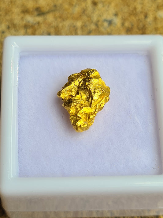 Gold Nugget 1.69 grams
