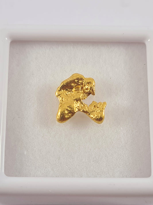 Gold Nugget 0.74 grams