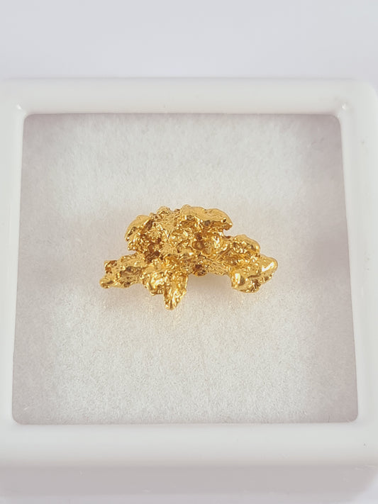 Gold Nugget 1.28 grams