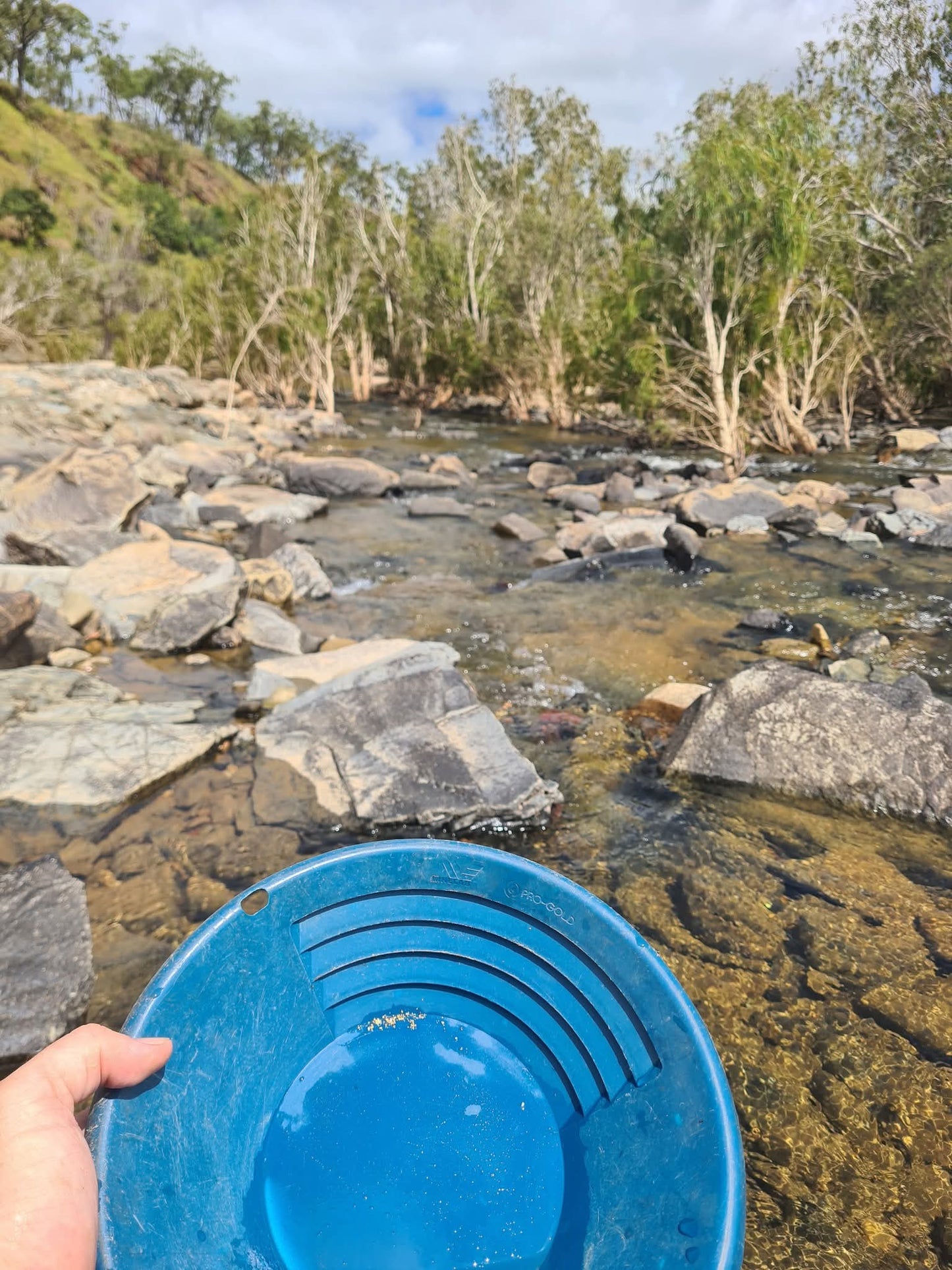 Gold Paydirt - 0.25 Gram