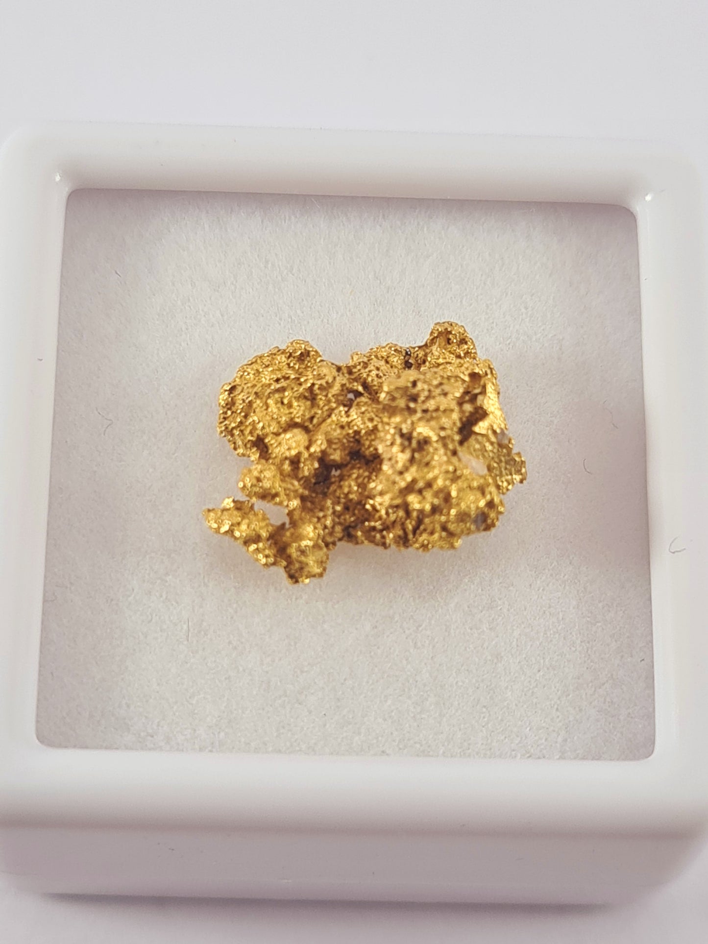 Tasmanian Gold Nugget 1.46 grams