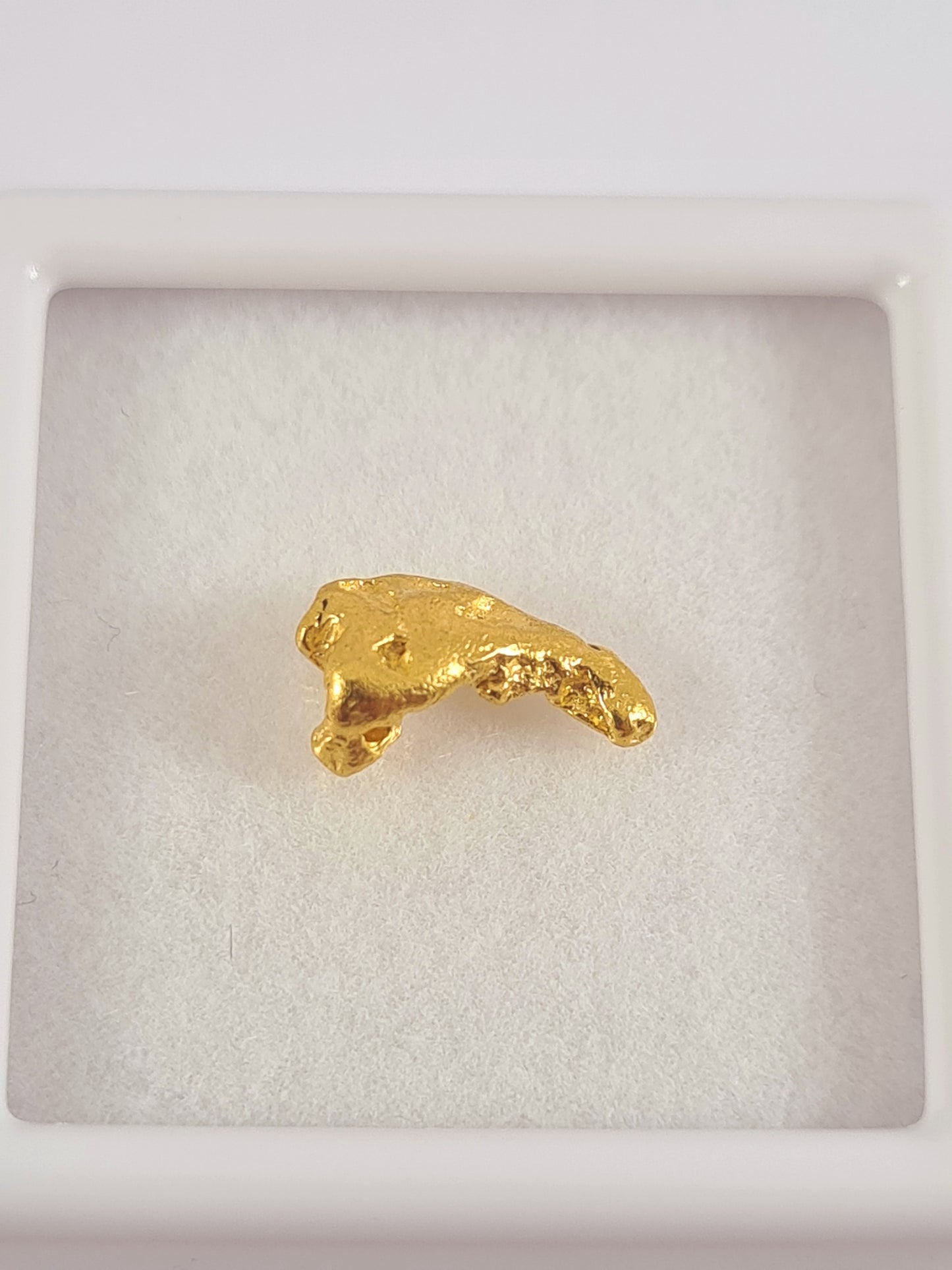 Gold Nugget 0.73 grams