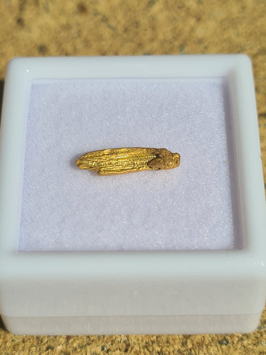Striated Gold Nugget  .25 grams