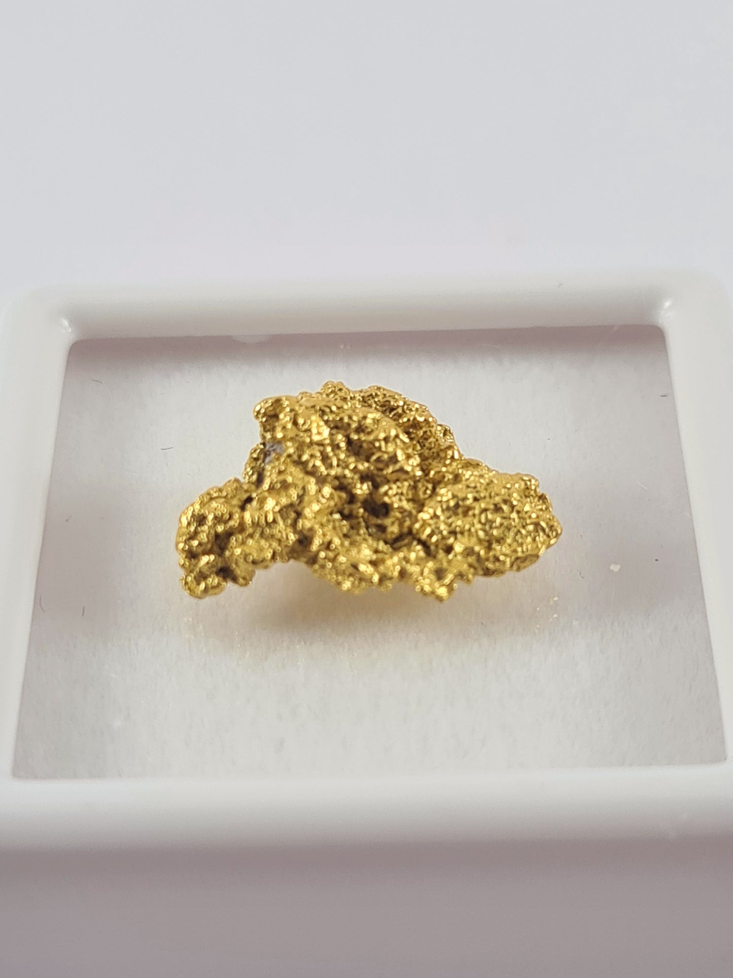 Gold Nugget 1.60 grams - Batavia collection