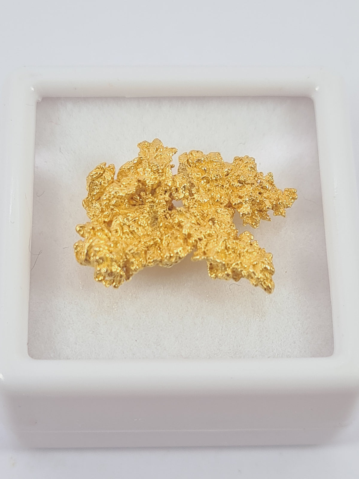 Gold Nugget 2.61 grams