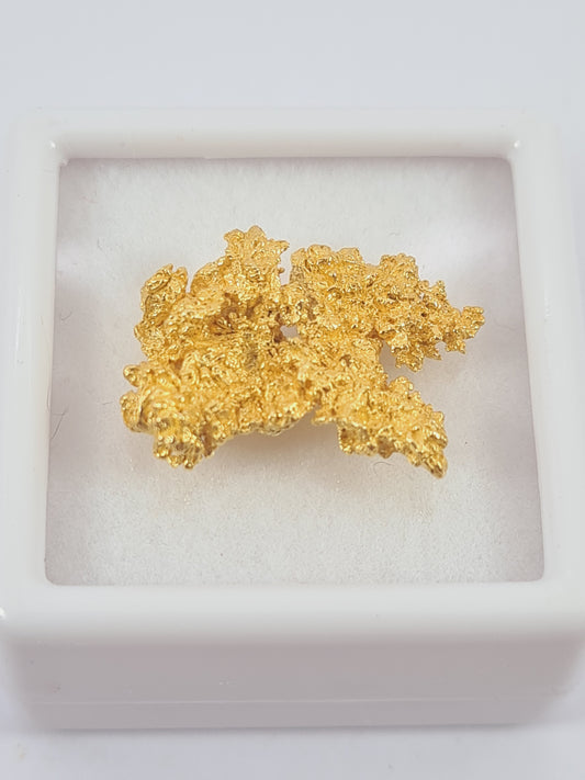 Gold Nugget 2.61 grams
