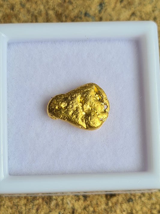 Gold Nugget 1.31 grams