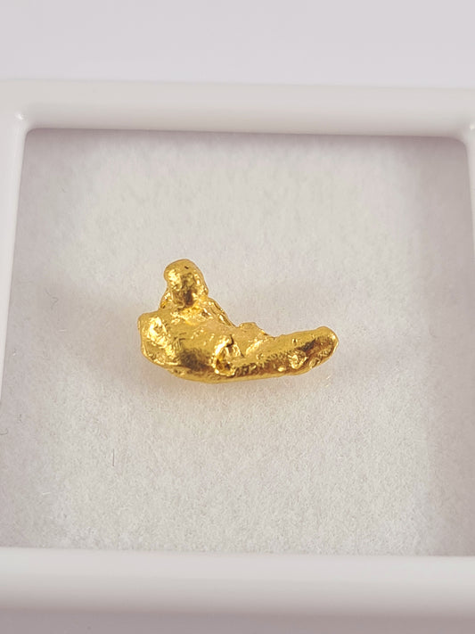 Gold Nugget 0.73 grams