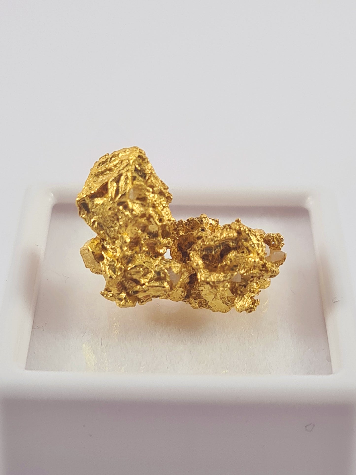 Tasmanian Gold Nugget 6.13 grams