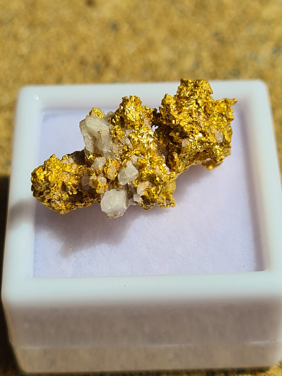 Gold Specimen 8.3 grams – Dadbod Prospecting