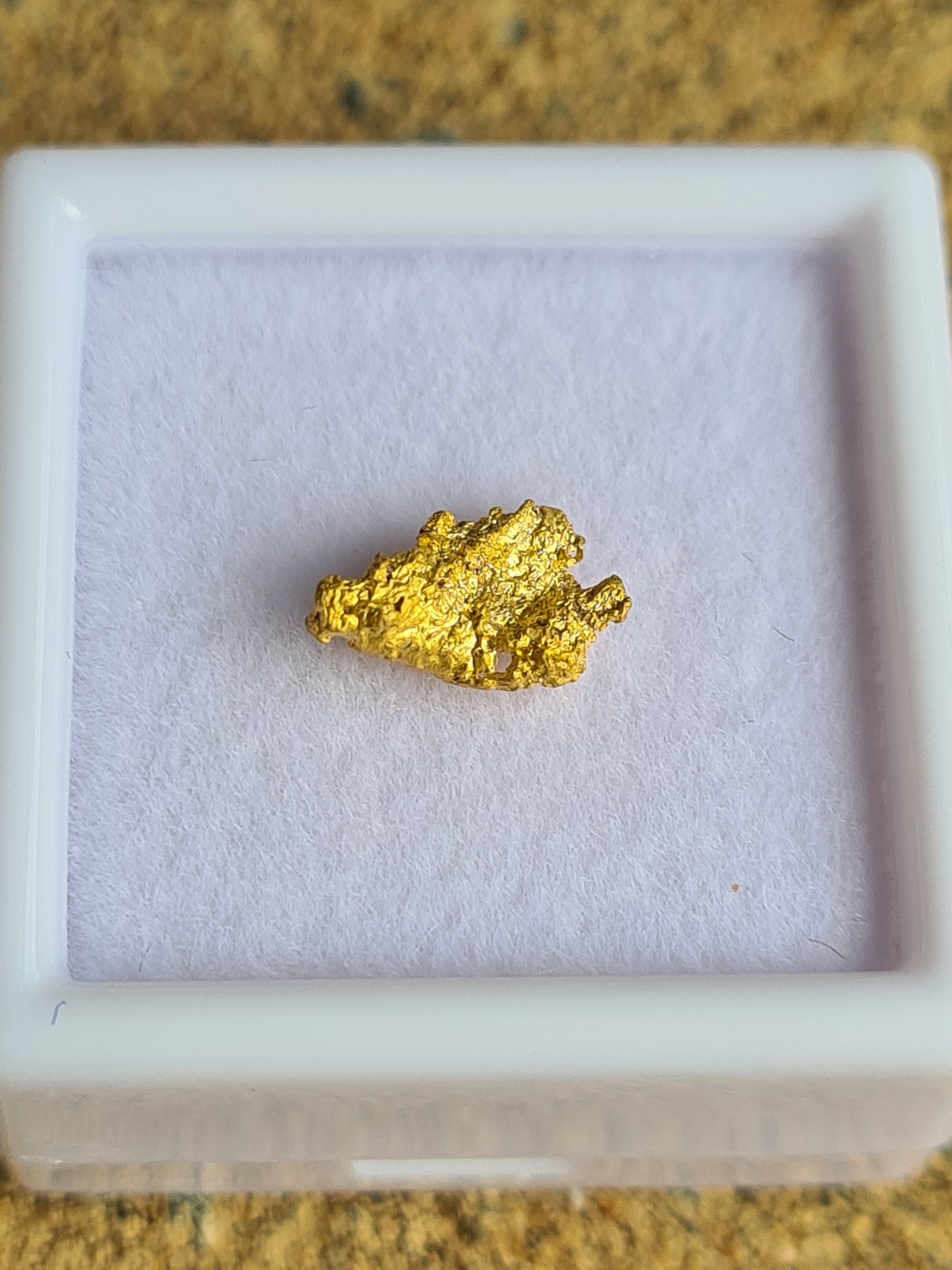 Gold Nugget .49 grams
