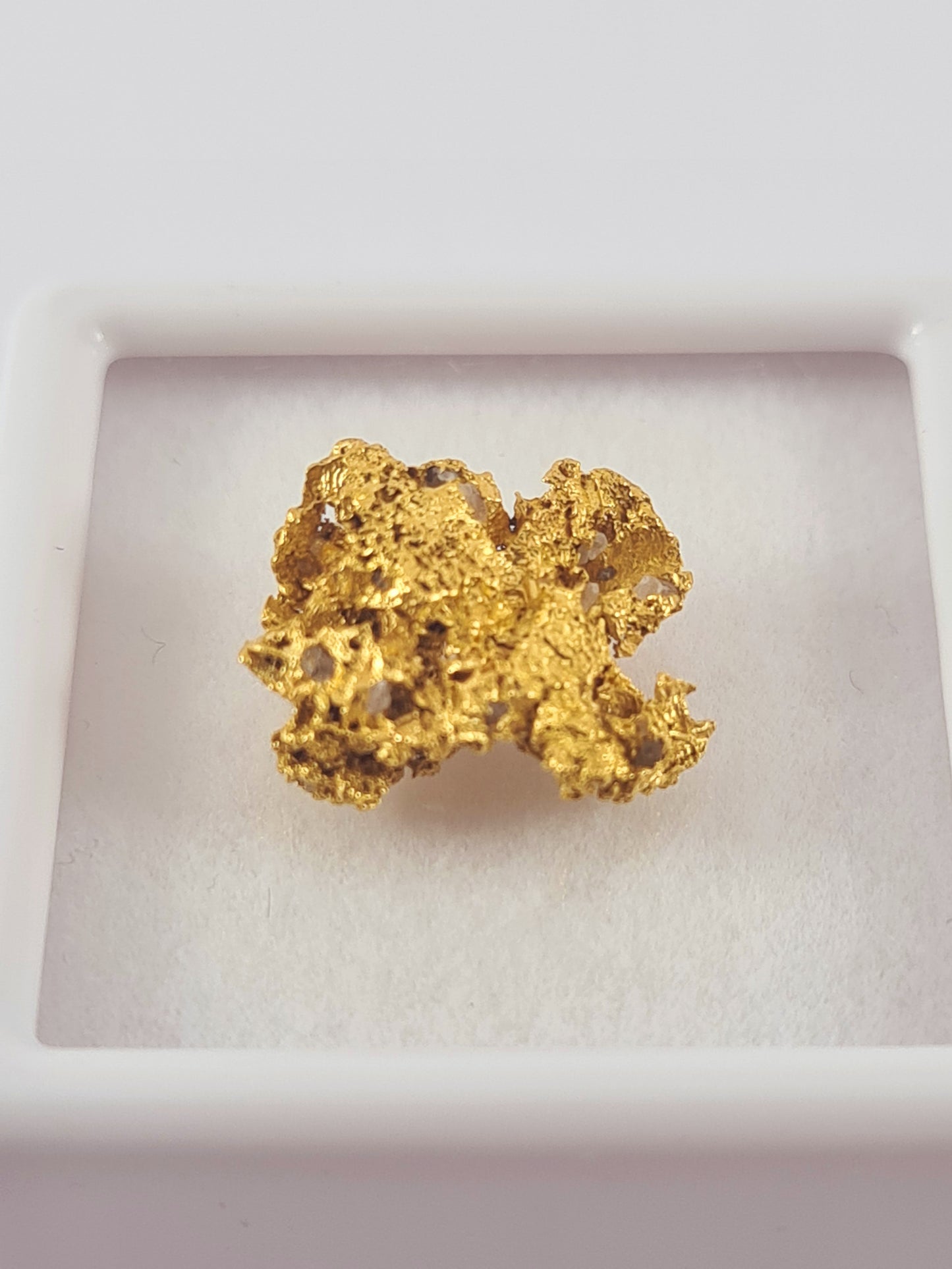 Tasmanian Gold Nugget 1.46 grams