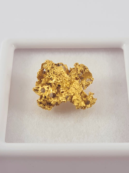 Tasmanian Gold Nugget 1.46 grams