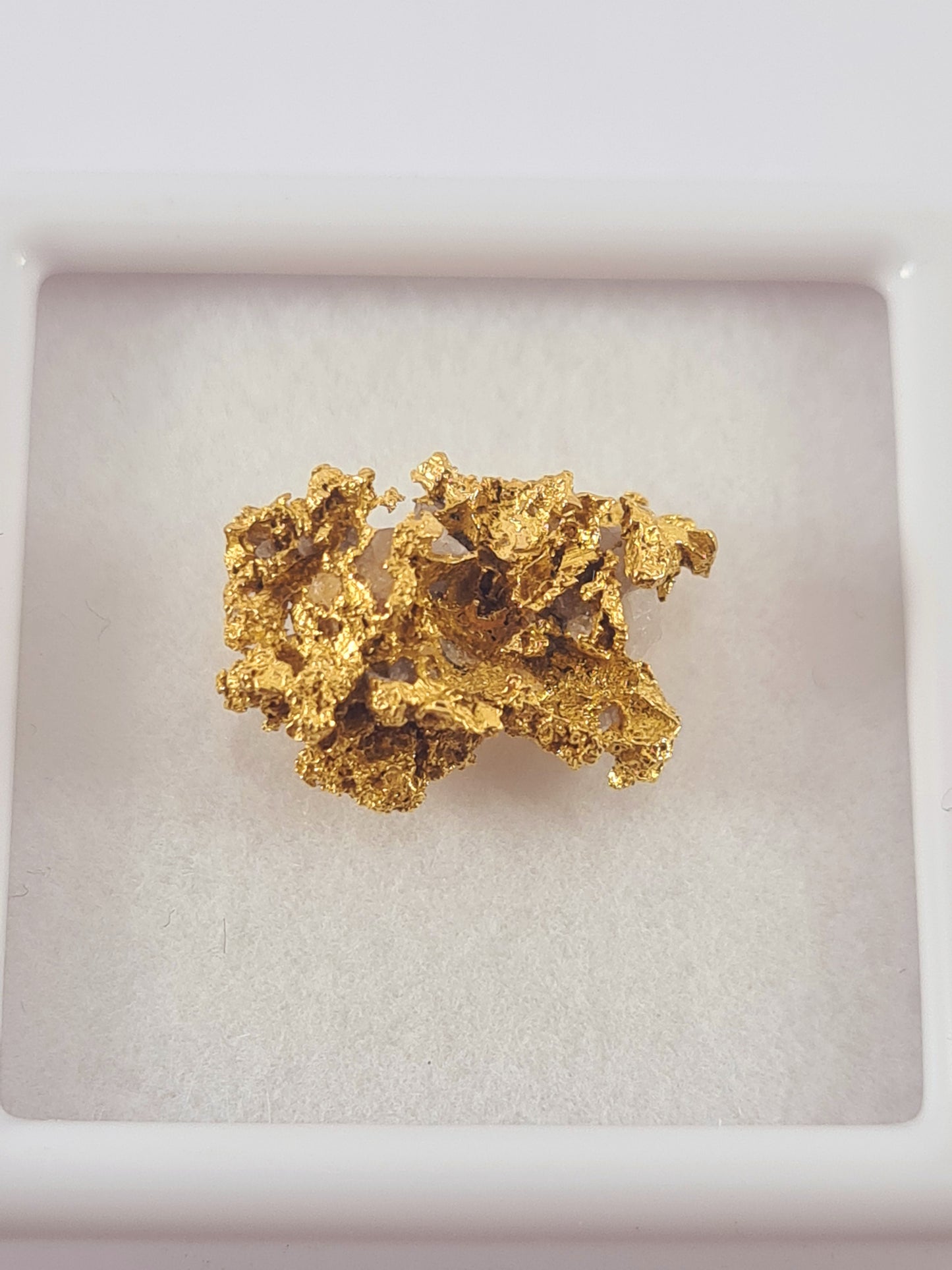 Tasmanian Gold Nugget 1.41 grams