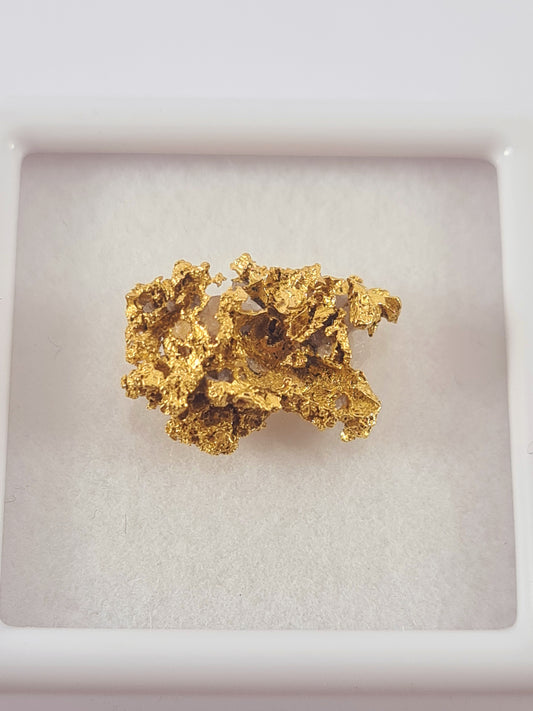Tasmanian Gold Nugget 1.41 grams