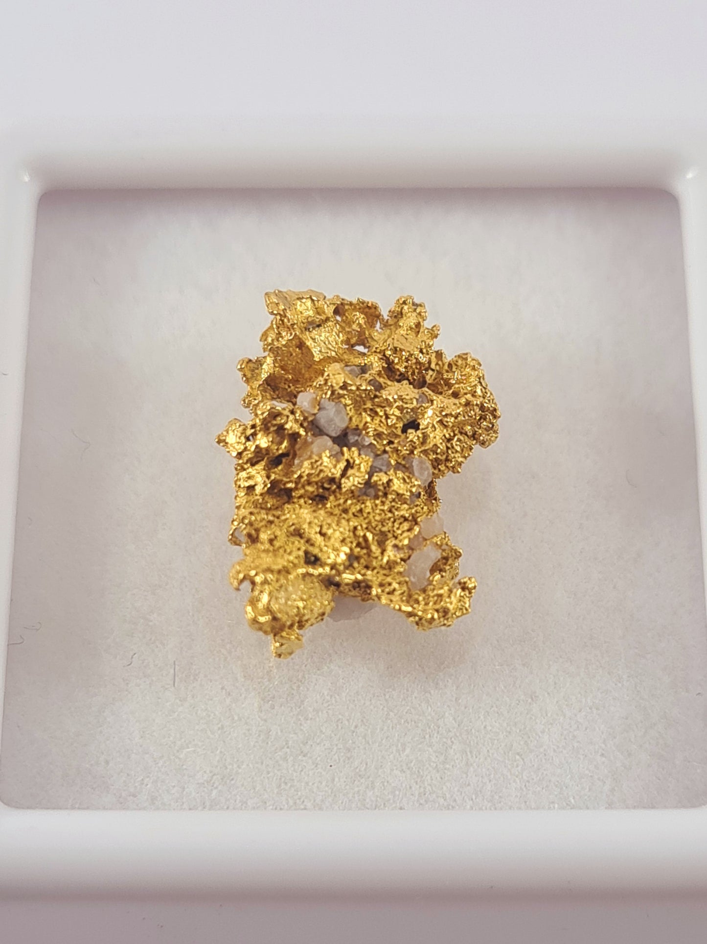 Tasmanian Gold Nugget 1.41 grams