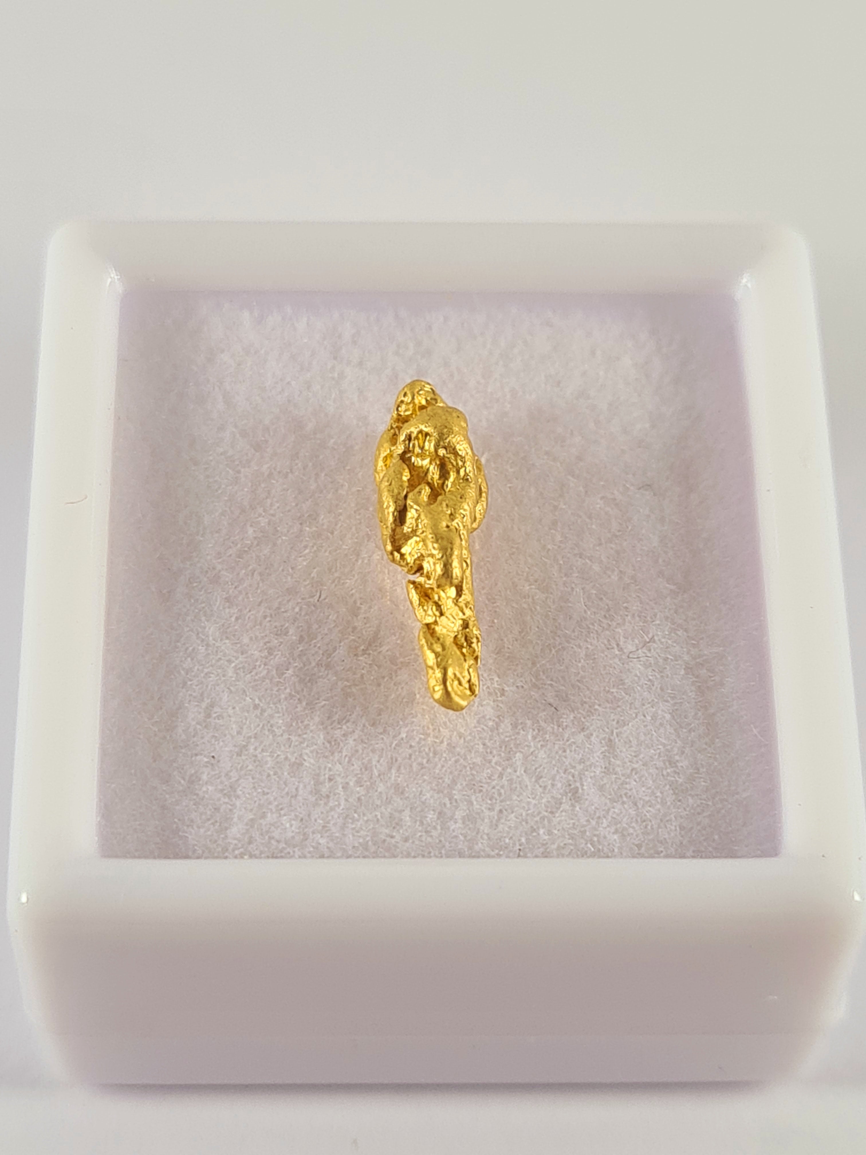Gold Nugget .91 grams – Dadbod Prospecting