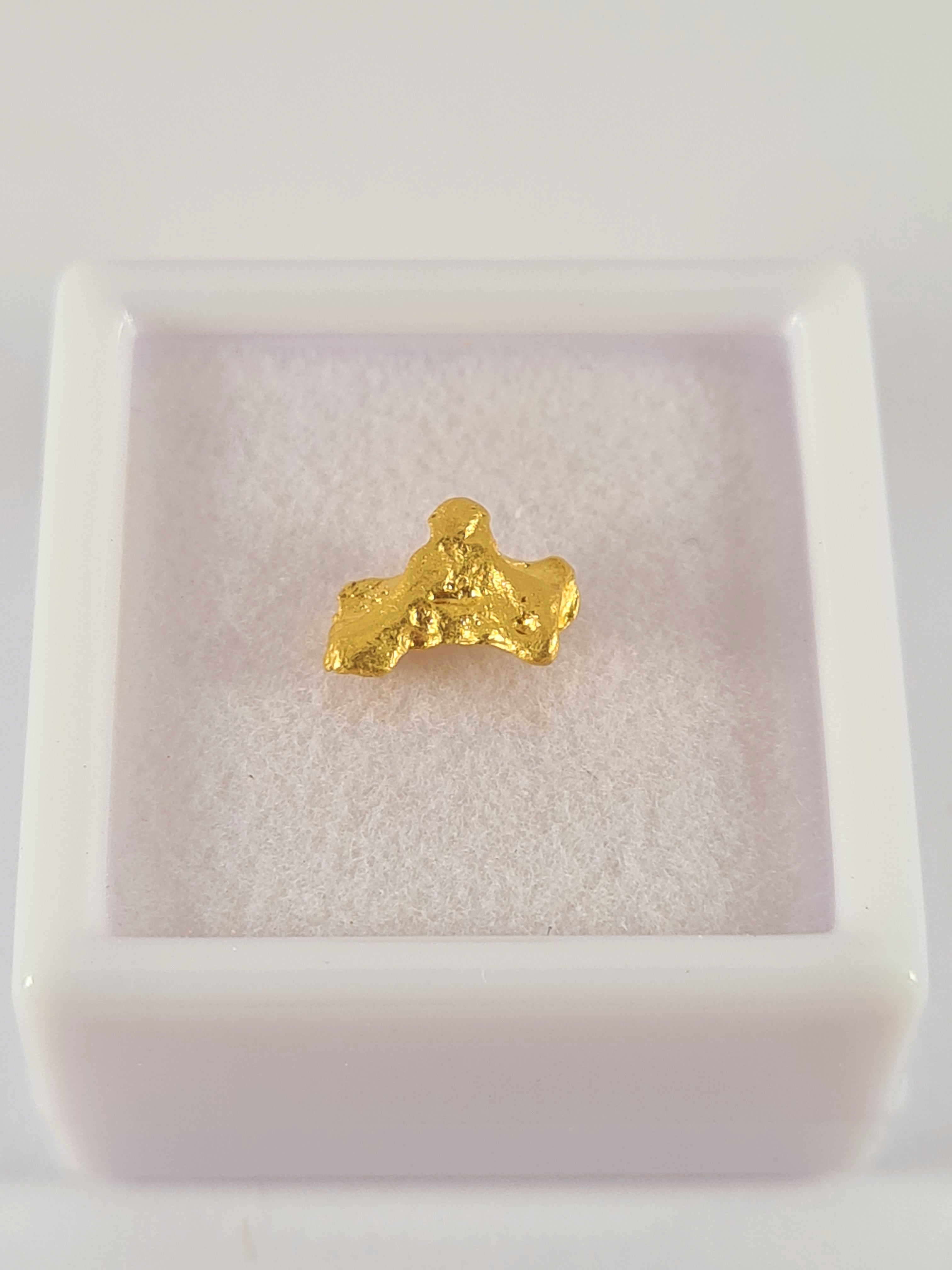 Gold Nugget 0.76 grams – Dadbod Prospecting