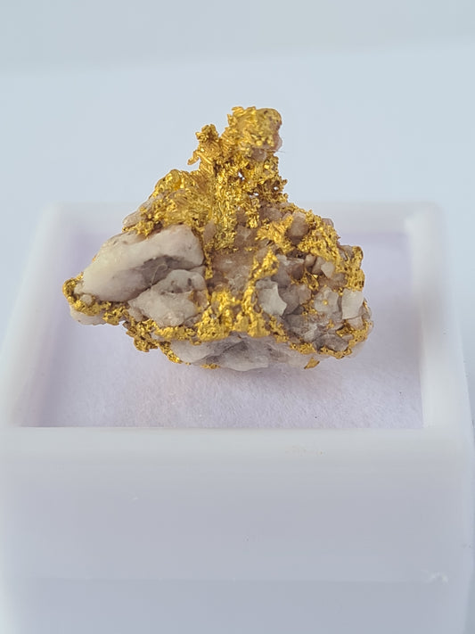 Gold Specimen 5.9 grams