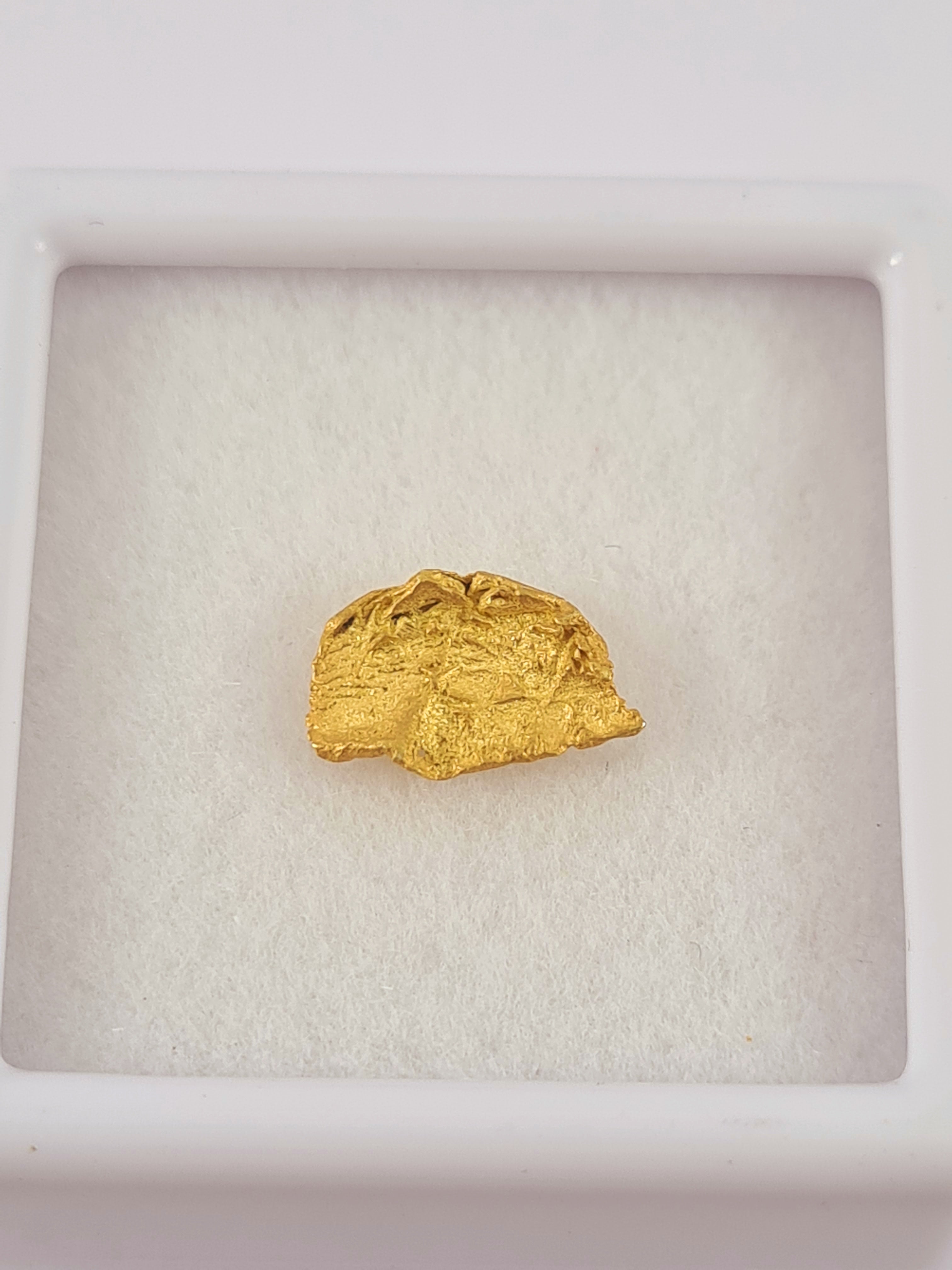 Leaf Gold - Georgetown 0.21 grams – Dadbod Prospecting