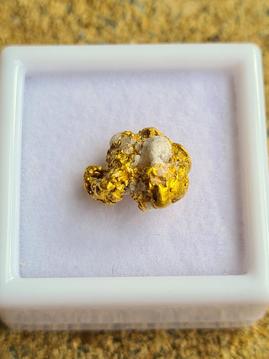 Gold Specimen 1.79 grams