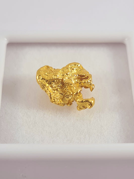 Gold Nugget 1.56 grams