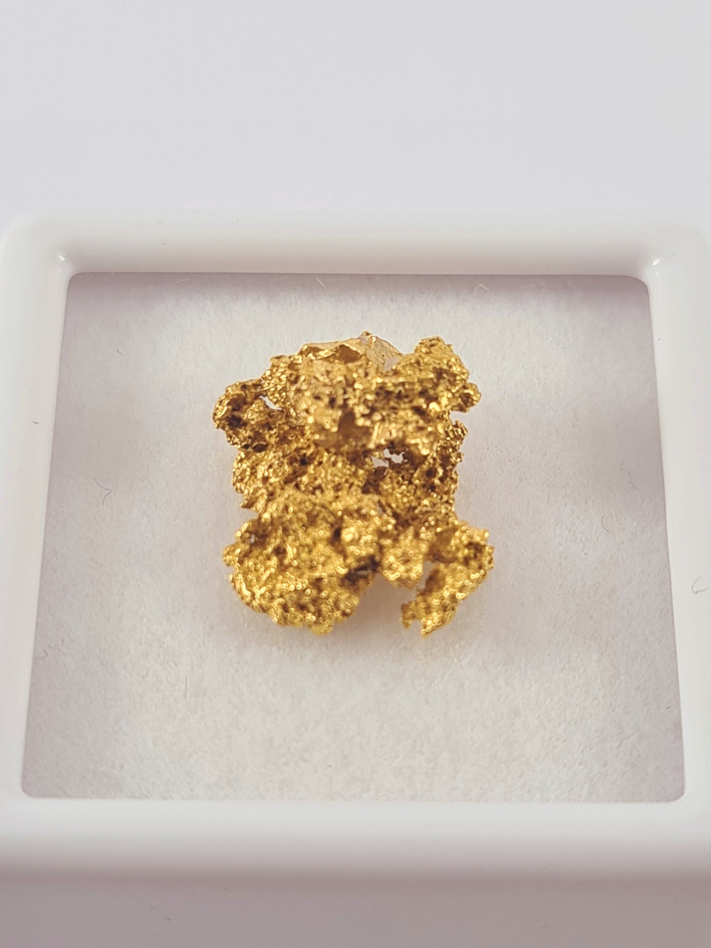 Tasmanian Gold Nugget 1.46 grams