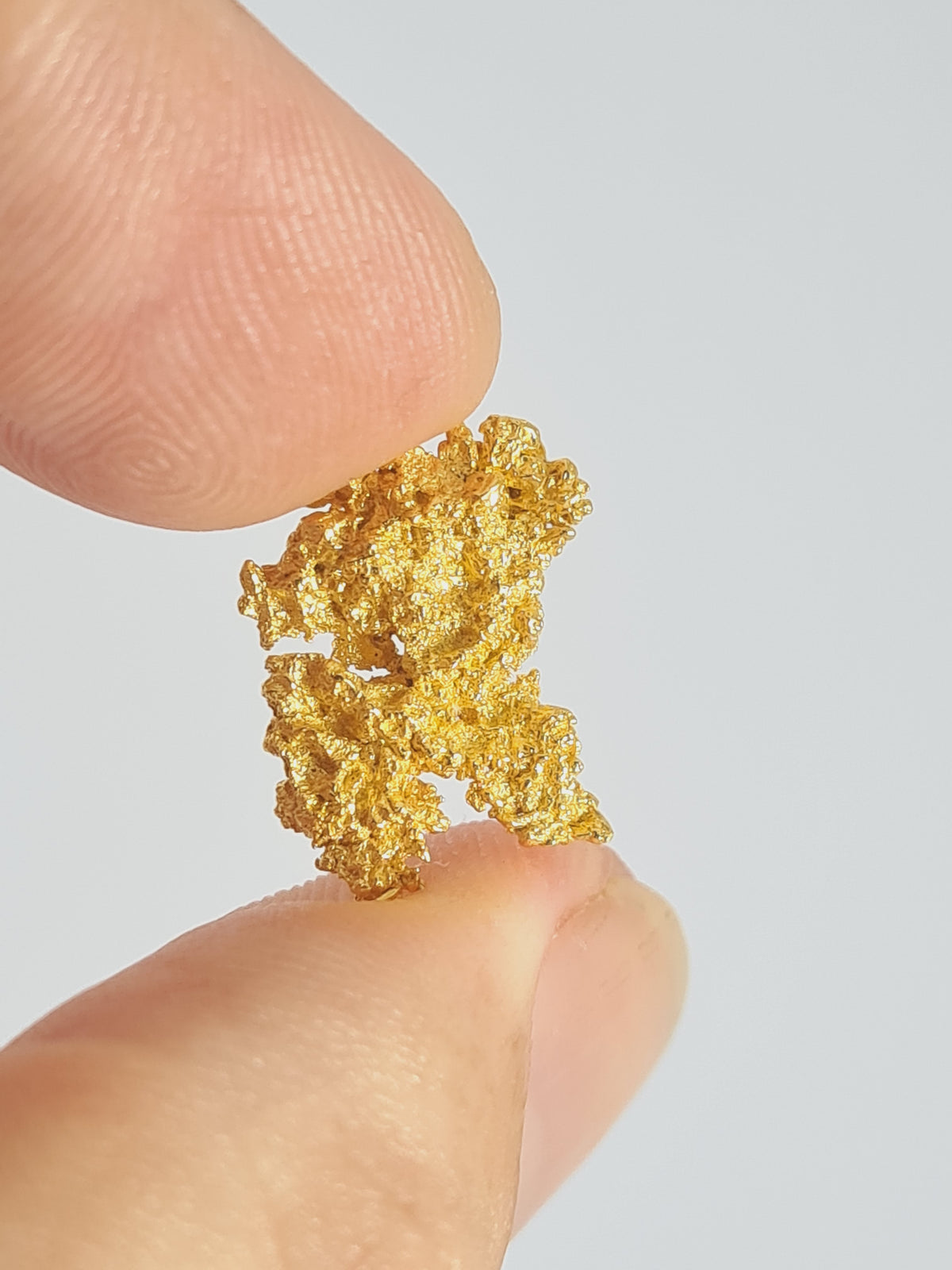 Gold Nugget 2.61 grams